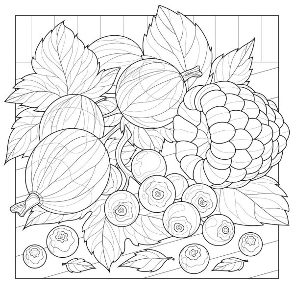 Kolorowanka agrest wśród owoców